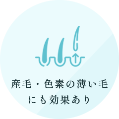 産毛・色素の薄い毛にも効果あり